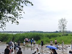 -绿堤公园