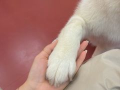 -和它·交个朋友·狗咖猫咖(爱琴海店)
