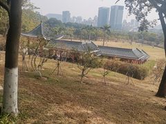 -紫马岭公园