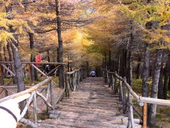 -红崖峡谷景区