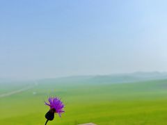 -莫日格勒旅游景区