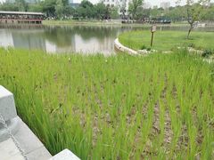 -西海子公园