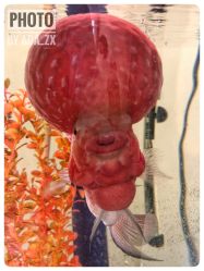 -康颜SPA自然疗愈皮肤管理中心