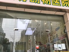 -米苏动物医院·犬猫专科·骨科外科内窥镜