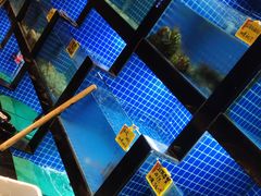 水产区-徽三说·土徽菜·中国徽菜连锁品牌(一中店)