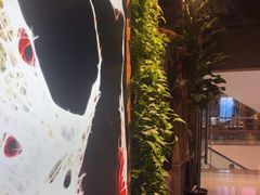 -雀舞云南菜(天津天河城购物中心店)