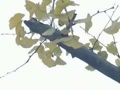 -isee心呈·度假酒店(春熙路店)