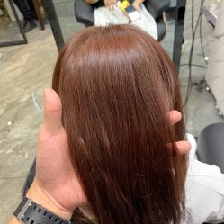 -藤野造型