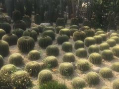 -胡里山炮台