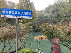 -灵栖洞天