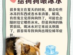-贝利宠物医院·骨科·眼科·肿瘤转诊中心(南坪诊疗中心)