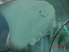 -苏州海洋馆