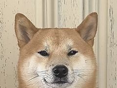 -FUNFUN有饭花园聚会餐厅