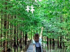 -桤木河湿地公园