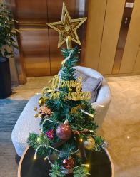 -和伊母婴护理中心·全套房(金山店)