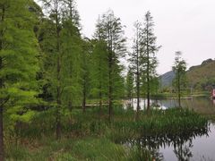 -广州市石门国家森林公园