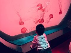 -沈阳海洋探索中心