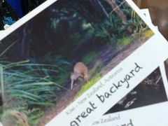 -怀托摩萤火虫洞