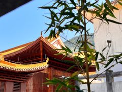 -深圳仙湖植物园
