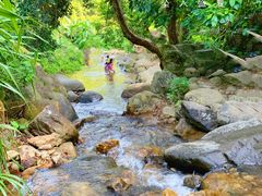 -梧桐山风景名胜区