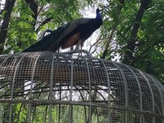 -沈阳鸟岛