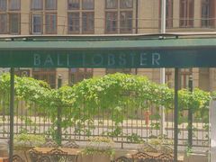 -巴厘龙虾·榜首油焖大虾(洞庭·艺术洋房店)