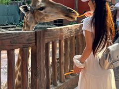 -长鹿旅游休博园