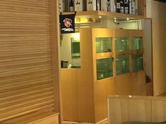 -鲤·鮨KOISUSHI