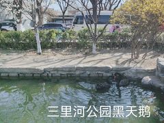 -三里河公园