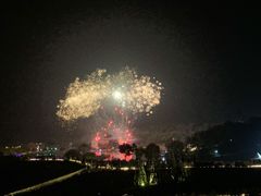-大塘金香草谷