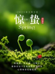 -雅曼妮spa美容养生