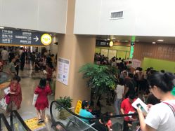 -上海交通大学医学院附属上海儿童医学中心(陆家嘴总院区)