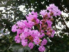 -贵阳市花溪国家城市湿地公园