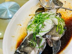 -益利大酒楼(井岸店)