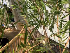 -绿茶餐厅(青岛城阳万象汇店)