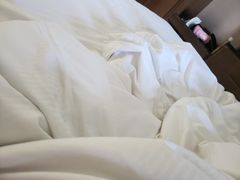 -北京希尔顿逸林酒店