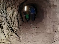 -上海佘山国家森林公园天马山园