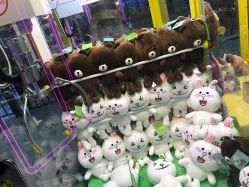 -嗨翻Hi-Fun竞技主题乐园·蹦床团建生日聚会(五棵松华熙店)