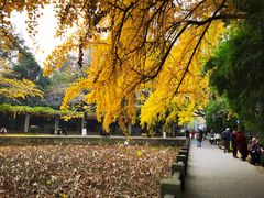 -四川大学(华西校区)