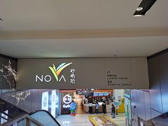 -岭南站NOVA