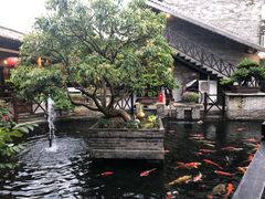 -猪肉婆私房菜(容桂总店)