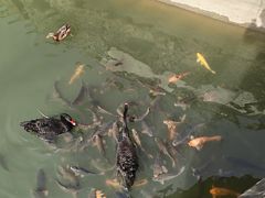 -芭东小镇温泉