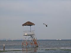 -鸽子窝公园