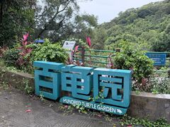 -广东惠东海龟国家级自然保护区