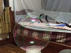 -鲤·鮨KOISUSHI