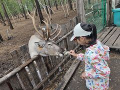 -北极村旅游风景区