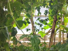 -石家庄市植物园