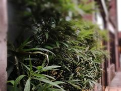 -剥皮寮历史街区