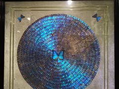 -上海昆虫博物馆