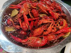 -大孩龙虾(体育场旗舰店)